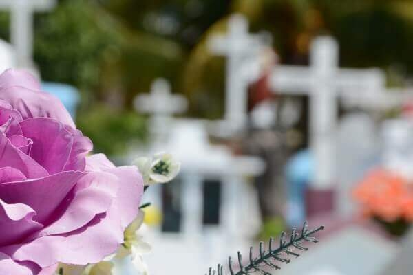 Наши работы